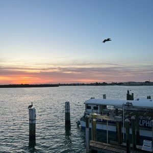 Meet your Posher, Ava